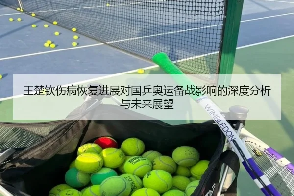 王楚钦伤病恢复进展对国乒奥运备战影响的深度分析与未来展望
